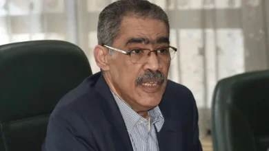 ضياء رشوان، رئيس الهيئة العامة للاستعلامات.