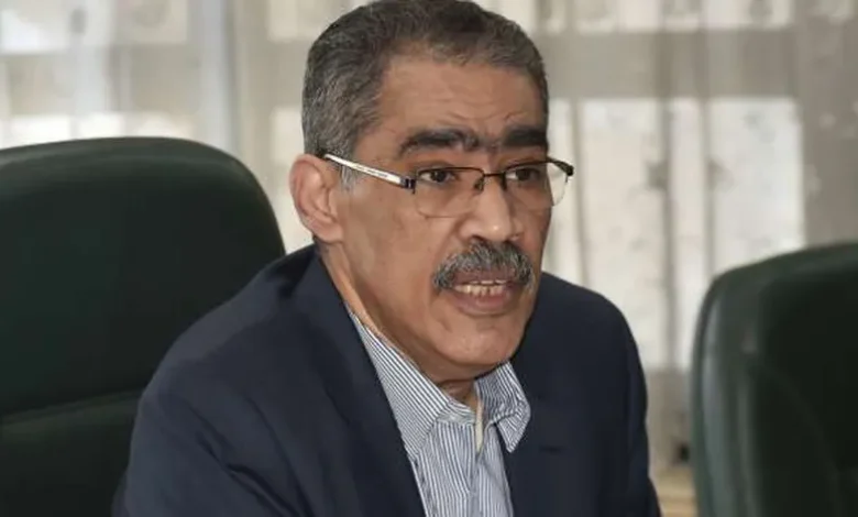 ضياء رشوان، رئيس الهيئة العامة للاستعلامات.