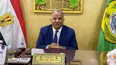 قطارات الصعيد على خطوط السكة الحديد