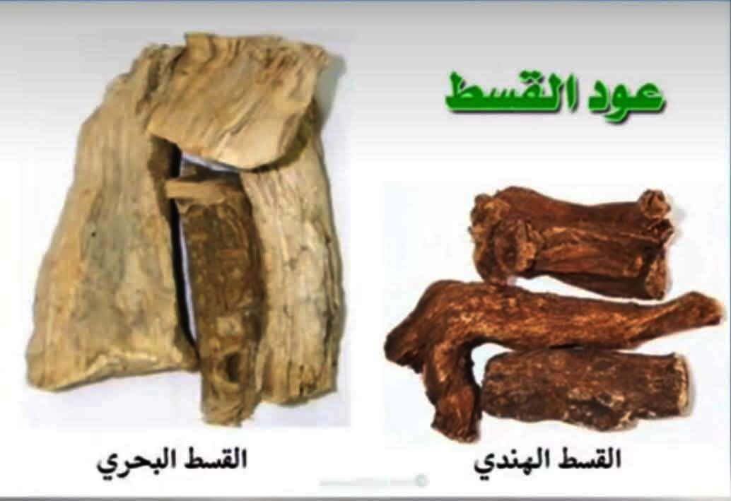 FB IMG 1735417865871