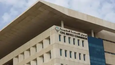 قطارات على خطوط السكة الحديد