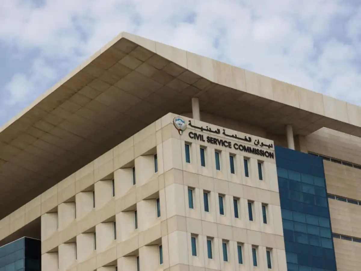 قطارات على خطوط السكة الحديد