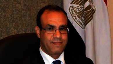 بدر عبد العاطي وزير الخارجية والهجرة