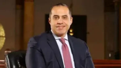 المستشار محمود فوزي، وزير الشئون النيابية والقانونية والتواصل السياسي