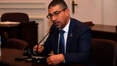 النائب محمد البدري، عضو لجنة الصحة بمجلس الشيوخ