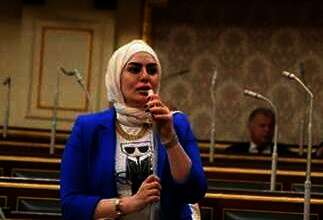 النائبة رحاب موسى، عضو مجلس النواب