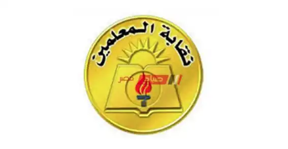 النائبة إيمان الألفى عضو مجلس النواب عن تنسيقية شباب الأحزاب والسياسيين