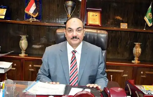 هشام العناني، رئيس حزب المستقلين الجدد