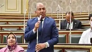 المهندس أسامة الشاهد، رئيس حزب الحركة الوطنية المصرية