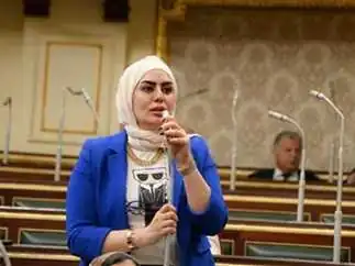 نرمين ميشيل، عضو الهيئة التأسيسية بحزب الوعي