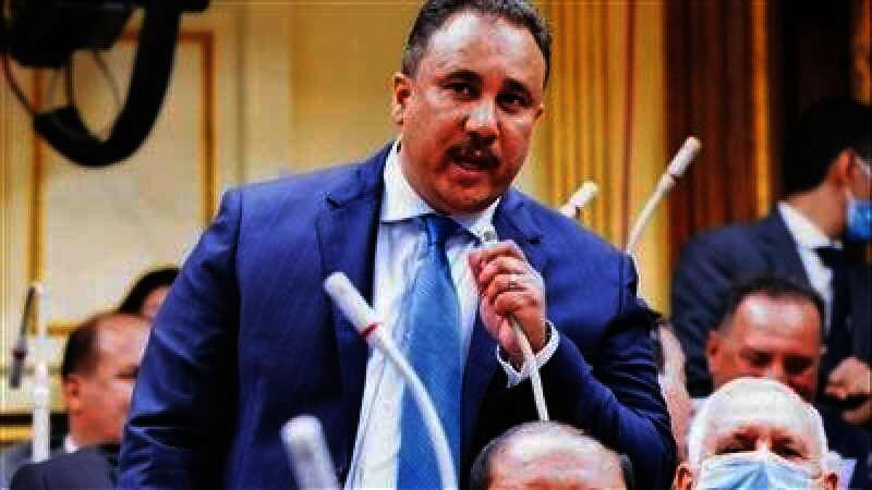 النائب وليد فتحي فرعون