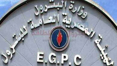 هيئة البترول وشركات القطاع العام