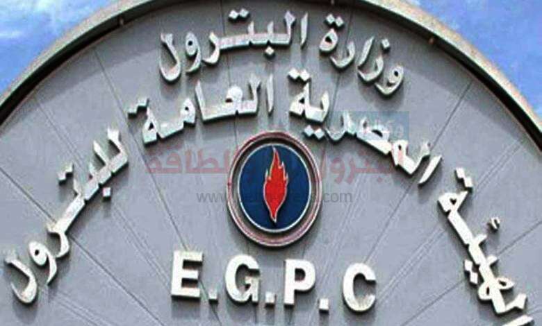 هيئة البترول وشركات القطاع العام