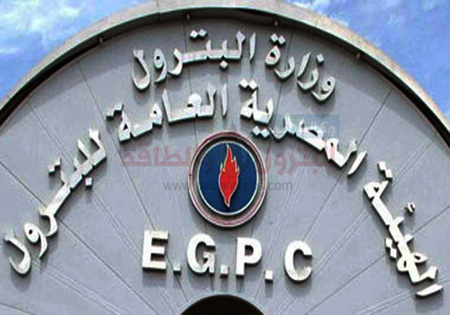 هيئة البترول وشركات القطاع العام