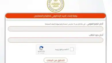 عمرو القاضى، الرئيس التنفيذى للهيئة المصرية العامة للتنشيط السياحي