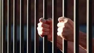 المشدد 15 سنة لسائق توك توك متهم بقتل شخص
