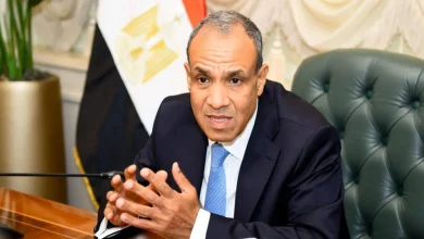 د. بدر عبد العاطي وزير الخارجية والهجرة