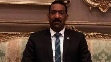 النائب سامح الشيمي، عضو لجنة الدفاع والأمن القومي بمجلس الشيوخ