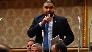 النائب إبراهيم الديب، عضو مجلس النواب