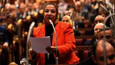 النائبة حياة خطاب، عضو مجلس الشيوخ