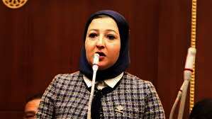 النائبة نهى الشريف، عضو مجلس الشيوخ عن تنسيقية شباب الأحزاب والسياسيين