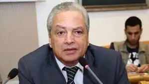 مجلس الشباب المصري والمنظمات المعنية بالدفاع عن حقوق الإنسان