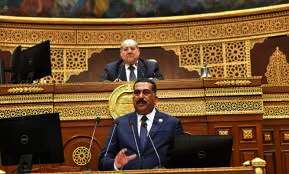 النائب هشام سويلم عضو مجلس الشيوخ عن حزب حماة الوطن