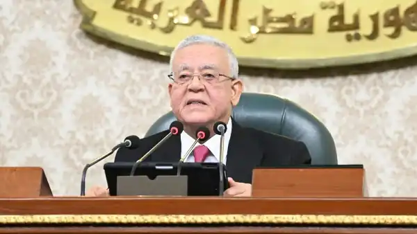 المستشار محمود فوزي ـ وزير الشئون النيابية والقانونية والتواصل السياسى