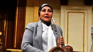 النائبة هالة ابو السعد، وكيل لجنة المشروعات المتوسطة والصغيرة ومتناهية الصغر بمجلس النواب