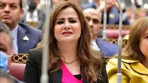 النائبة هيام الطباخ، عضو مجلس النواب عن تنسيقية شباب الأحزاب والسياسيين