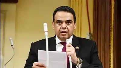 النائبة فيبي فوزي وكيل مجلس الشيوخ