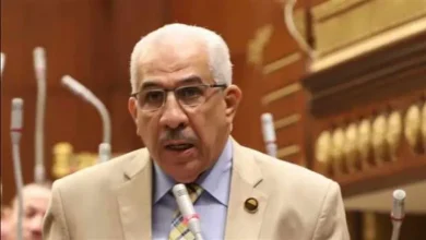 النائب مجدى سليم رئيس لجنة الطاقة والقوى العاملة بمجلس الشيوخ
