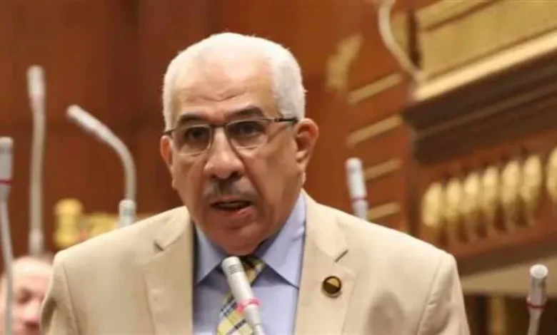 النائب مجدى سليم رئيس لجنة الطاقة والقوى العاملة بمجلس الشيوخ