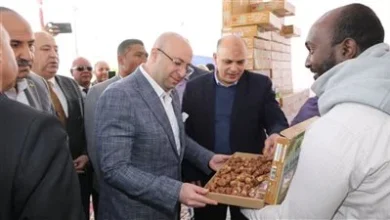 رئيس مدينة الواسطى يتابع منظومة النظافة وصيانة الأعمدة الكهربائية