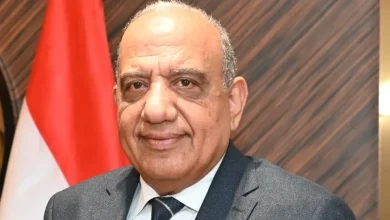 الدكتور محمود عصمت وزير الكهرباء والطاقة المتجددة