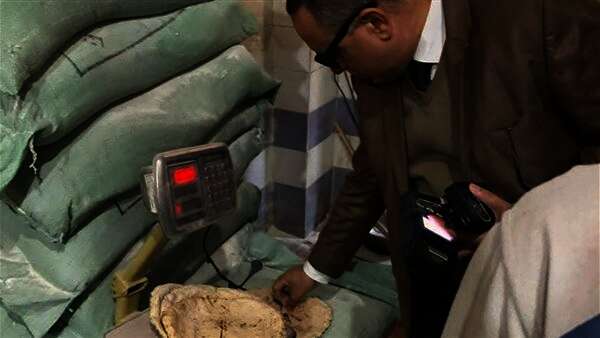 تحرير 16 محضرا في حملات على الأسواق بمركز ببا ببني سويف