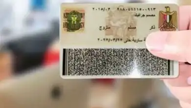 عصابة الغربية: سرقنا 4 شقق بأسلوب تسلق المواسير