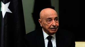 المستشار عقيلة صالح، رئيس مجلس النواب الليبي