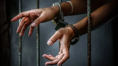 حبس تشكيل عصابى 3 سنوات لاتهامه بسرقة فيلا