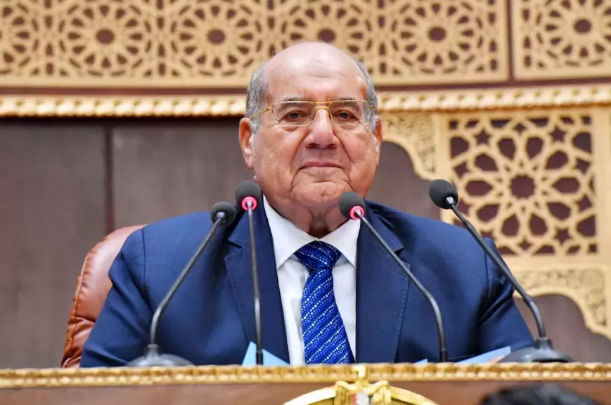 مجلس الشيوخ برئاسة المستشار عبد الوهاب عبد الرازق