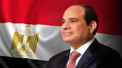 53 3