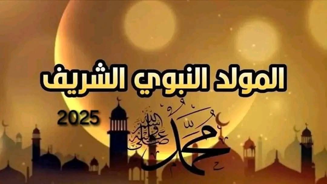 de7ed32d 204e 42f5 a40c 3f3b63cd3ee2 1