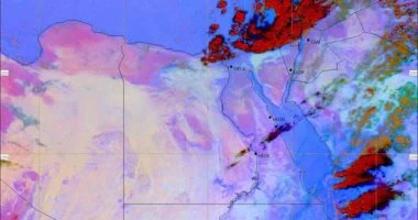 238 1