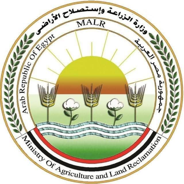 FB IMG 1763131800912