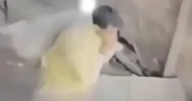 28 17