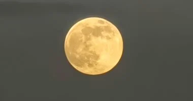 67 2
