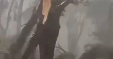 71 5