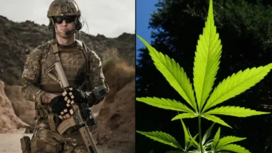 army soldier military marijuana cannabis 1536x922 1