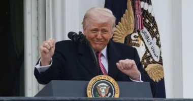20 40