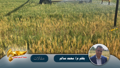 نسخة من نسخة من نسخة من canvi xxxx مقالات copy.psd 20260507 220904 ٠٠٠٠